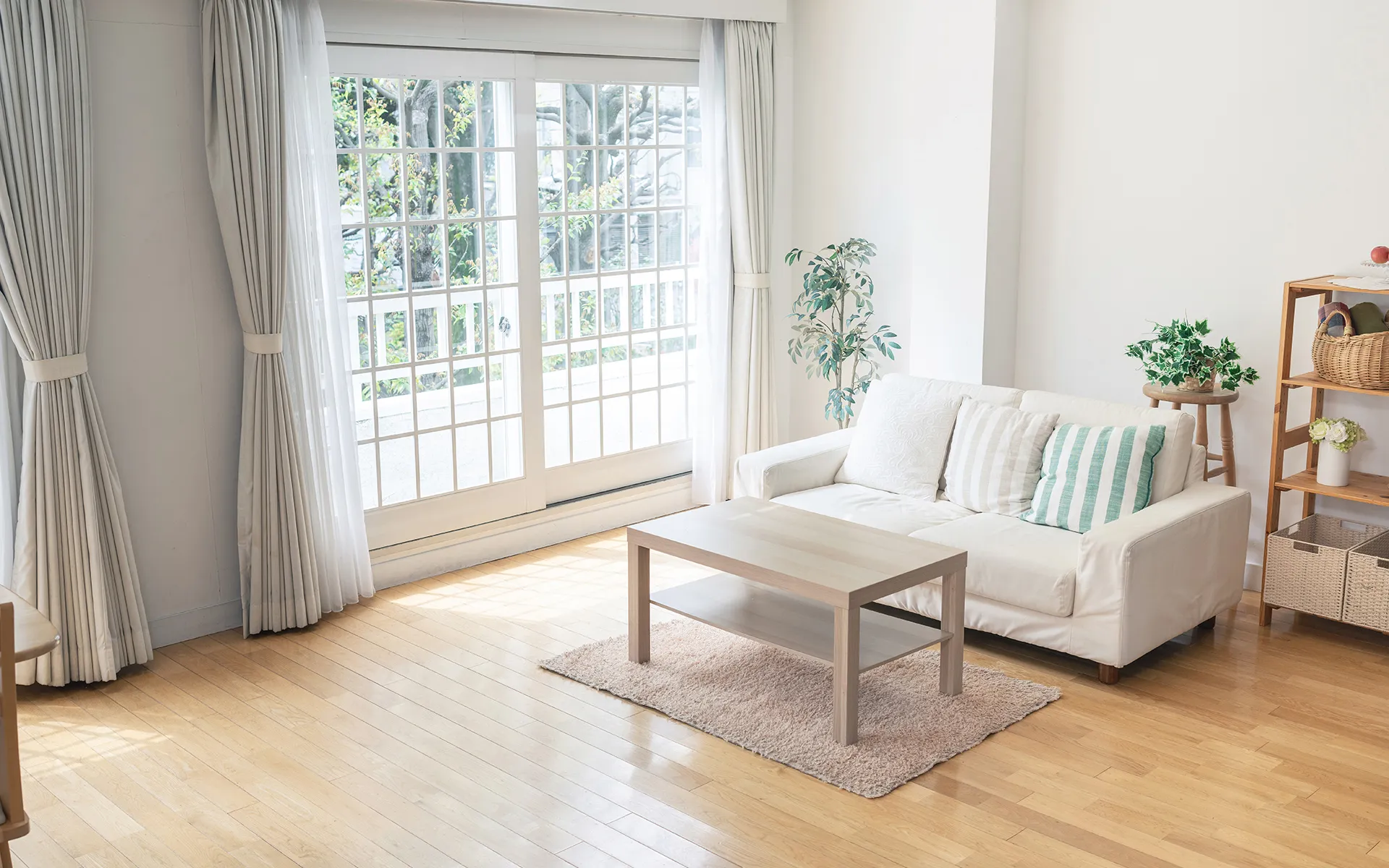 クリーンアシスト